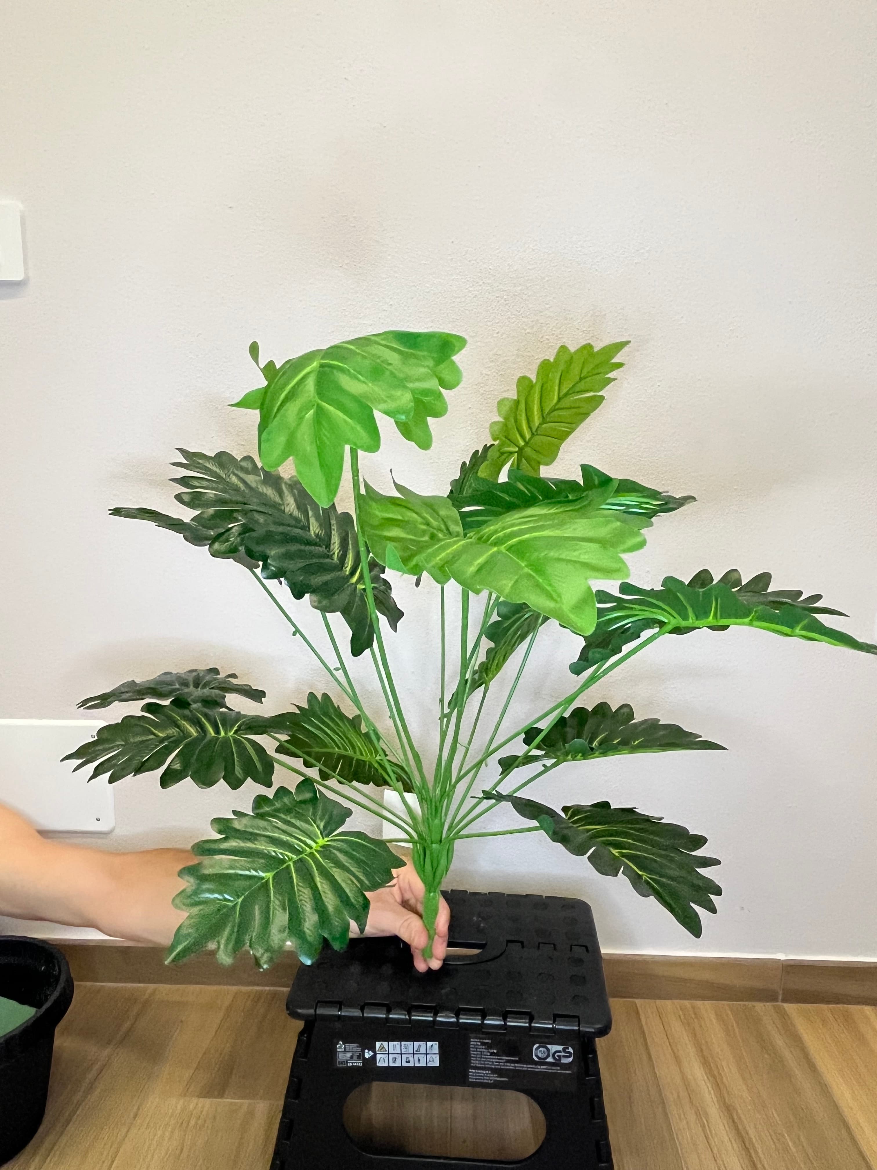 Giungla Tropicale 2