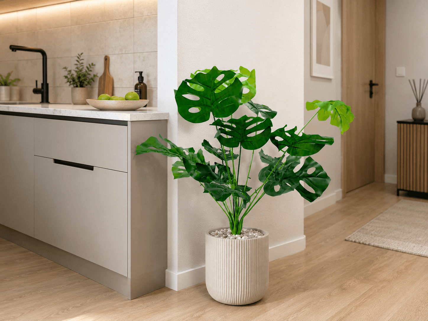 Monstera Deliziosa 2